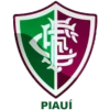 Fluminense PI Youth